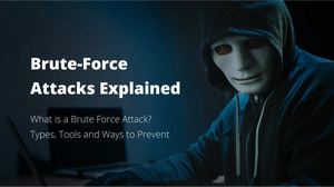 Brute Force Attackers