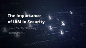 <b>The Importance of IAM in Cybersecurity and How It Can Be Effectively Implemented</b>